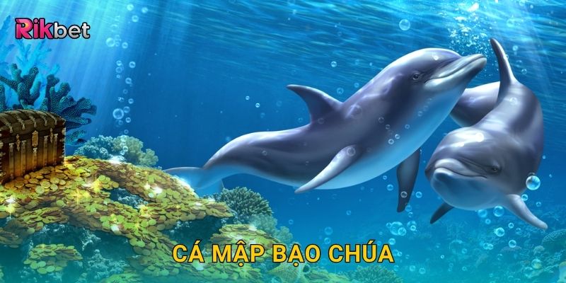 Cá mập bạo chúa – Thử thách săn quái vật biển khổng lồ tại Rikbet 22 Cá mập bạo chúa – Thử thách săn quái vật biển khổng lồ tại Rikbet
