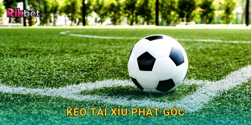 Kèo tài xỉu phạt góc – Dự đoán số lần phạt chính xác tại Rikbet 22 Kèo tài xỉu phạt góc – Dự đoán số lần phạt chính xác tại Rikbet