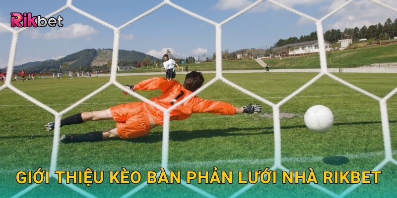 Giới thiệu kèo bàn phản lưới nhà Rikbet