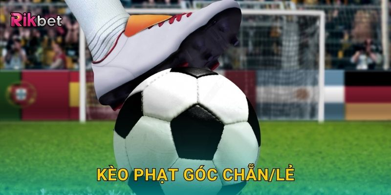 Kèo phạt góc chẵn/lẻ – Dự đoán đơn giản dễ trúng tại Rikbet 4 Kèo phạt góc chẵn/lẻ – Dự đoán đơn giản dễ trúng tại Rikbet